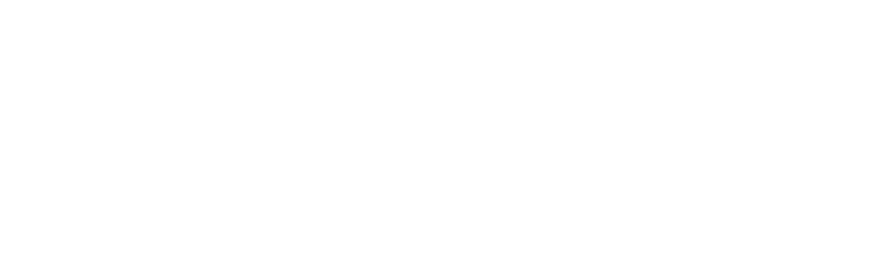 R3DIM